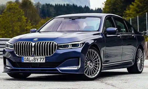 an image of an Alpina standing in an open area