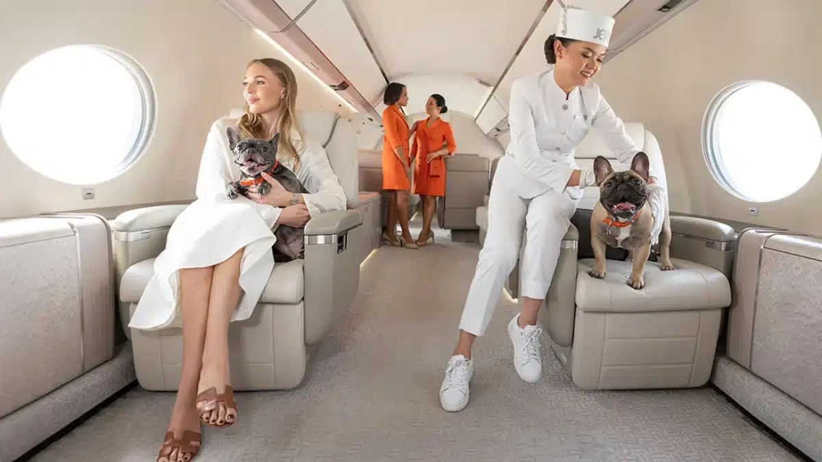 Private Jet Charter Guide