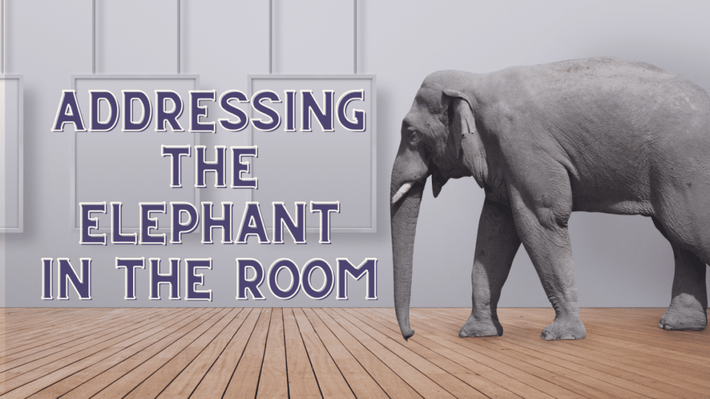 Addressing the Privacy Elephant in the Cabin