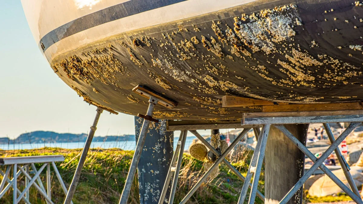 yacht antifouling 2026
