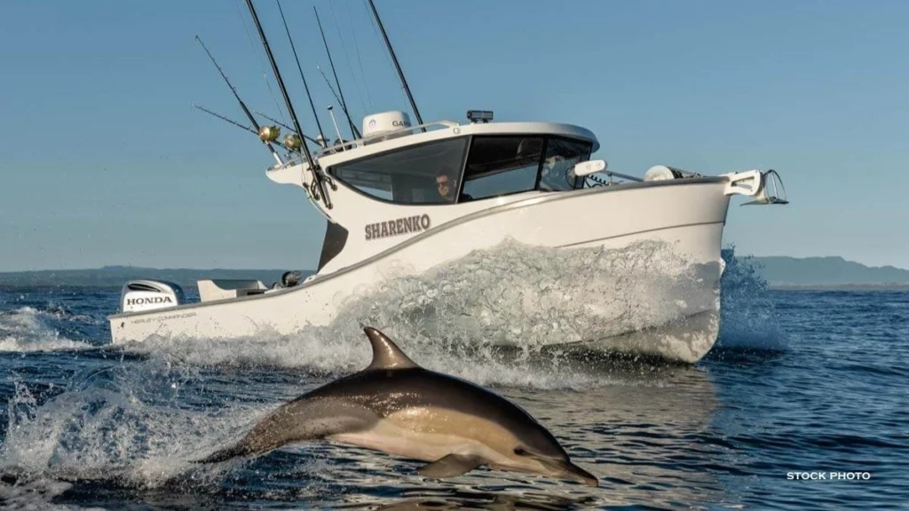 life proof boats​