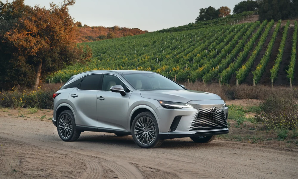 Silver Lexus RX on a dirt road beside a vineyard