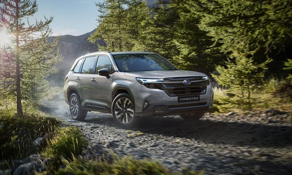 Four-wheel-drive SUV traveling on a gravel forest road-Types of cars
